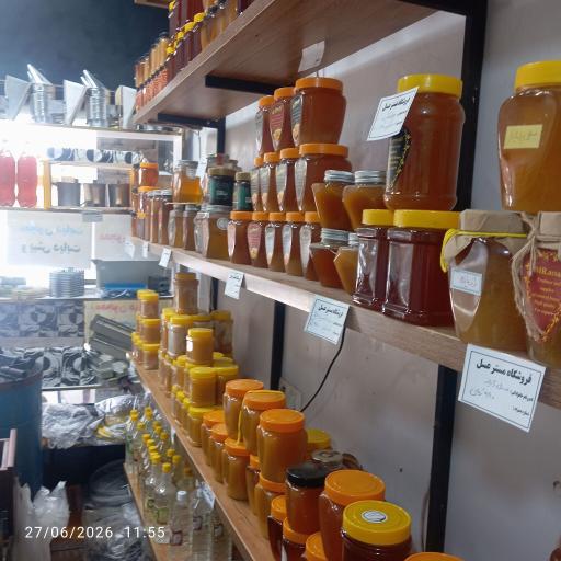 مستر عسل بیاتی