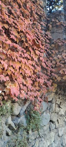 عکس محله پایین سولقان