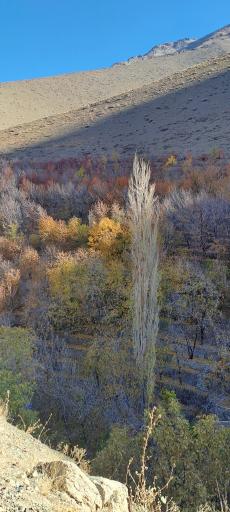 عکس محله پایین سولقان