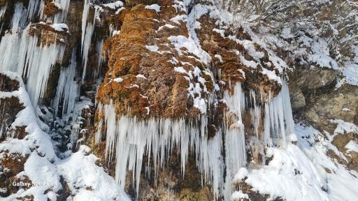 عکس آبشار جلبکی (حرام او)