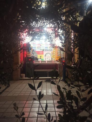 عکس لاستیک پناهان