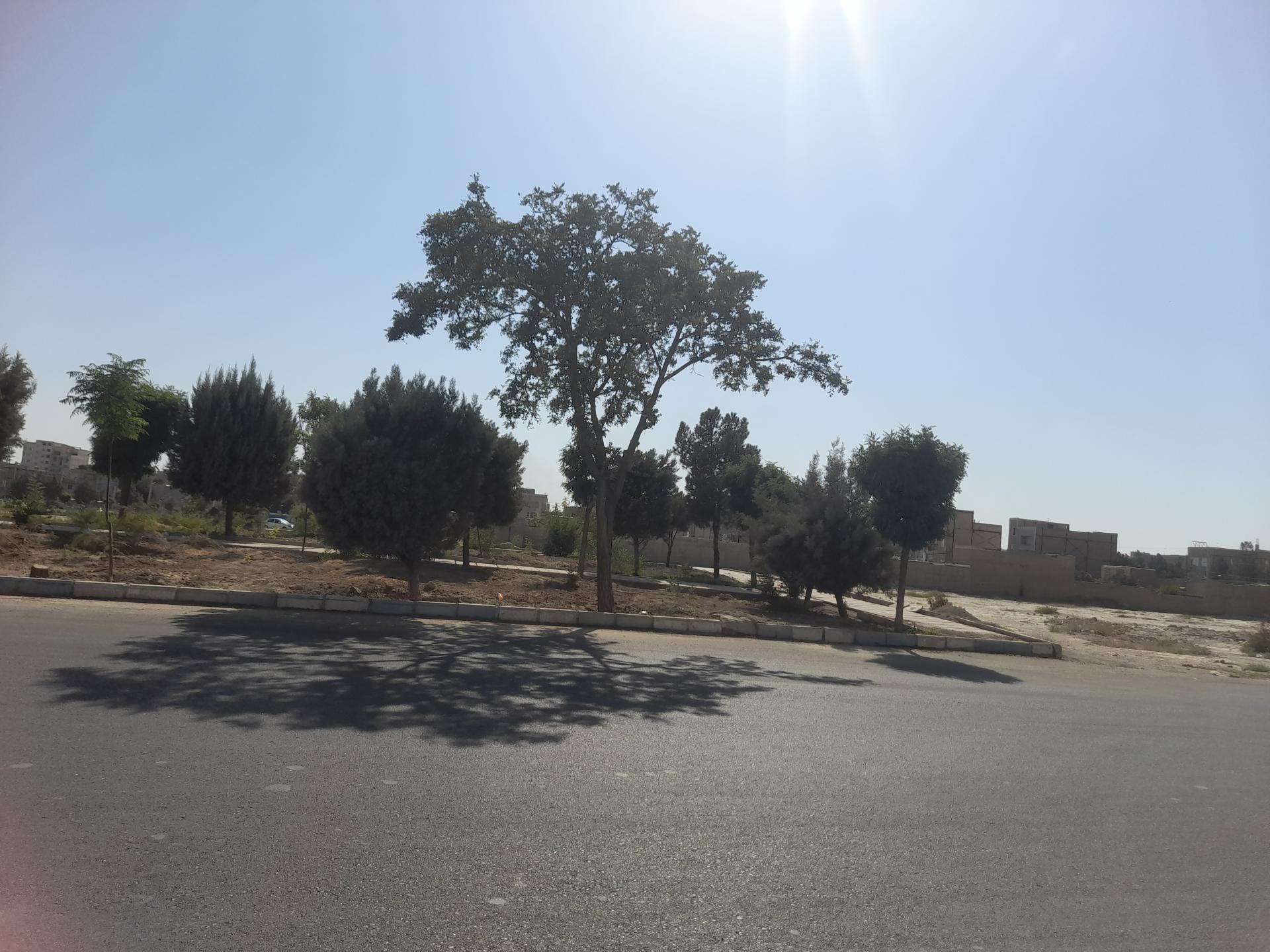 عکس فضای سبز کبودین