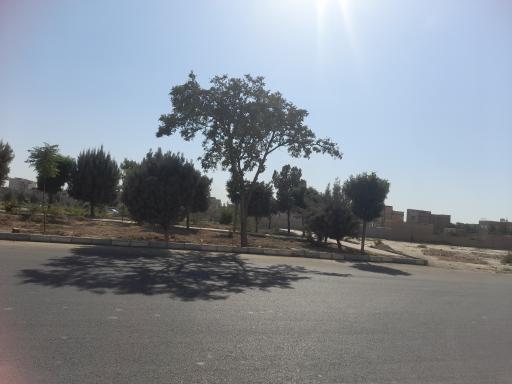 عکس فضای سبز کبودین