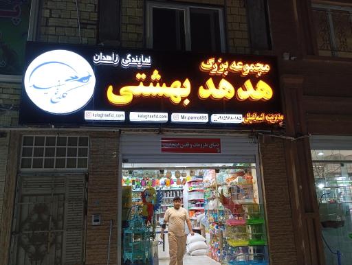 عکس مجموعه بزرگ هدهد بهشتی