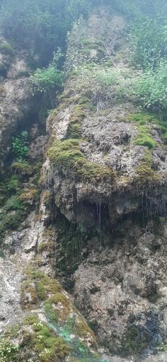 عکس آبشار جلبکی (حرام او)