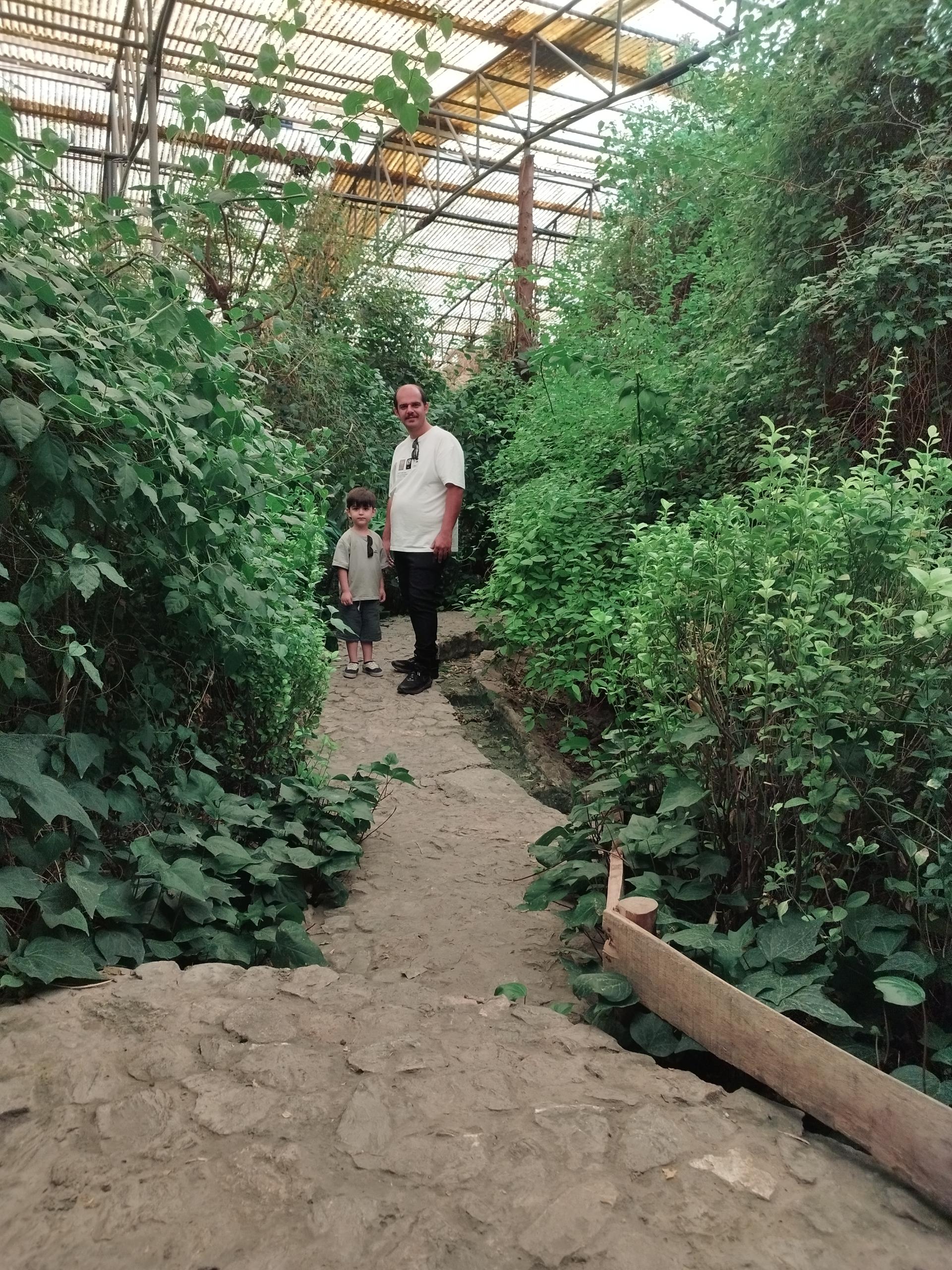 عکس باغ گل‌ های گرمسیری