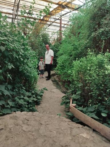 عکس باغ گل‌ های گرمسیری