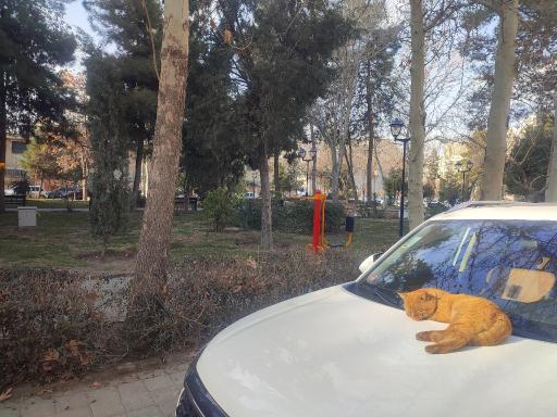 عکس بوستان پیام