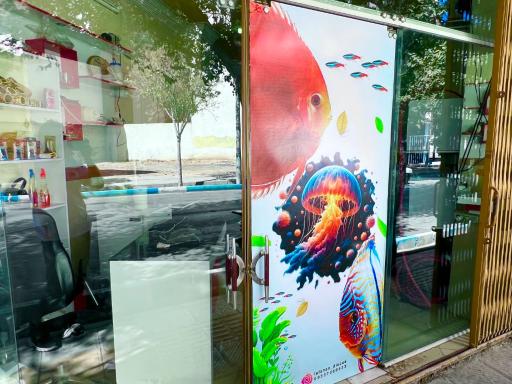 عکس اکواریوم اصفهان دیسکس 