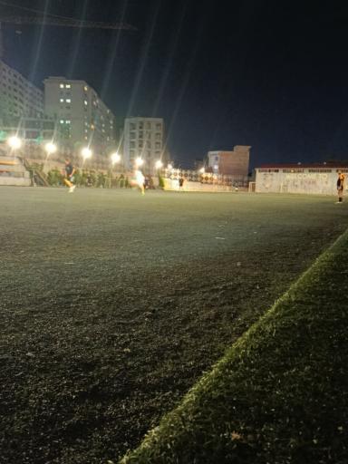 عکس زمین خانگی پارس ماهان