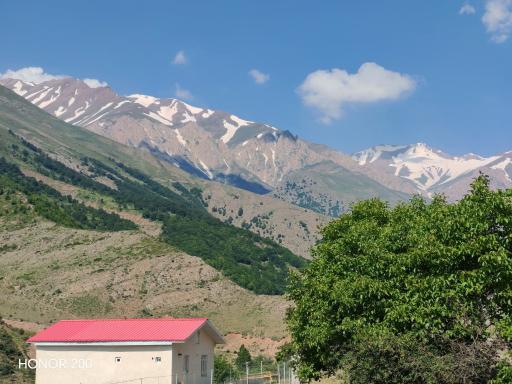 عکس الیت