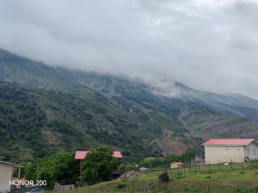 عکس الیت