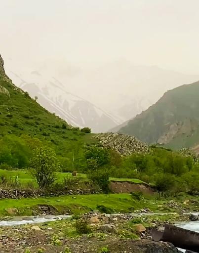عکس الیت