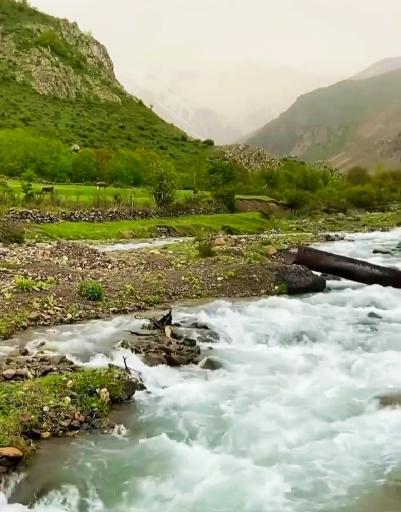 عکس الیت