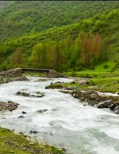 عکس الیت