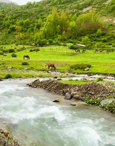 عکس الیت