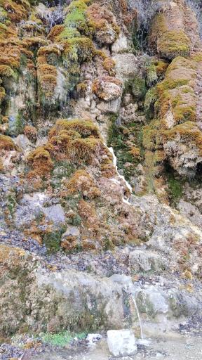 عکس آبشار جلبکی (حرام او)