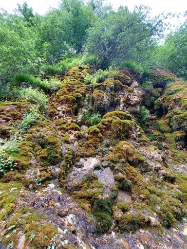 عکس آبشار جلبکی (حرام او)