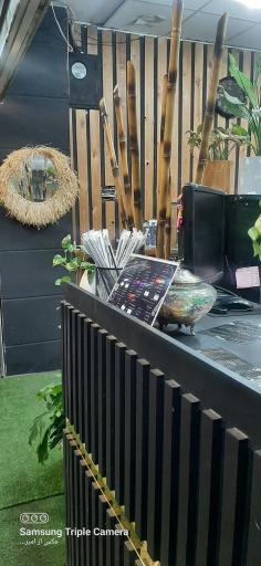 عکس مستر بندری