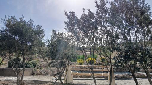 عکس بوستان CNG