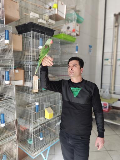 عکس فروشگاه پرندگان زینتی چکاوک فایز