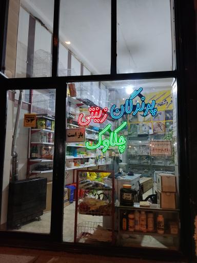 عکس فروشگاه پرندگان زینتی چکاوک فایز