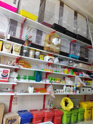 عکس فروشگاه پرندگان زینتی چکاوک فایز