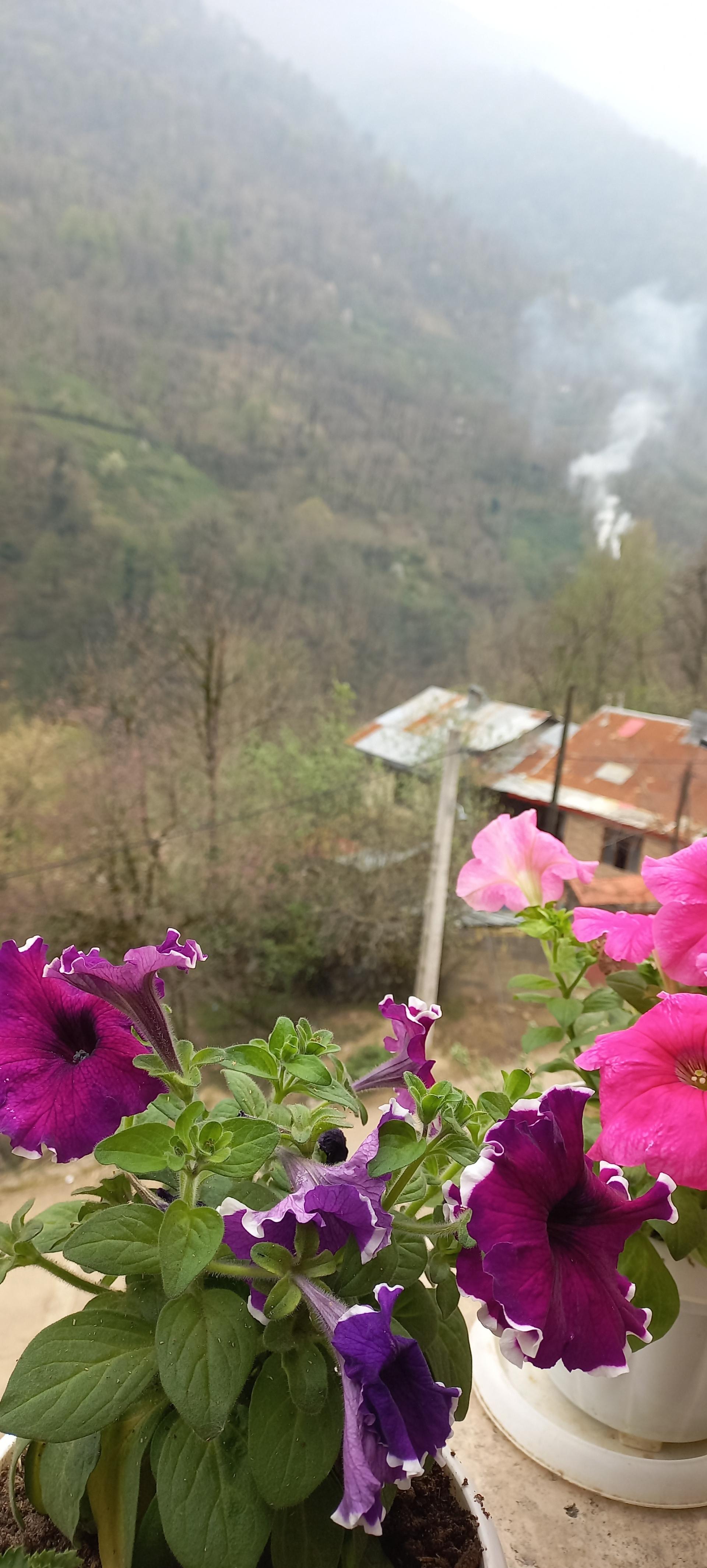 عکس هتل آپارتمان موسوی