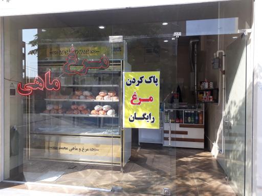 عکس مرغ و ماهی محمد