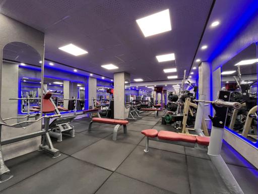 باشگاه فیتنس و بدنسازی شاهین