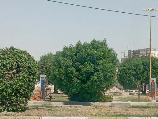 عکس پارک حاشیه