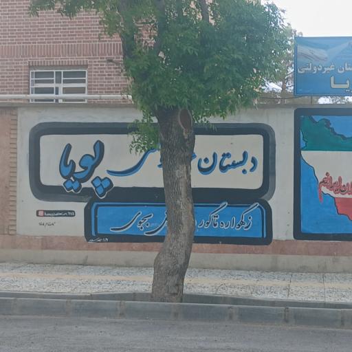 عکس دبستان غیر انتفاعی پویا