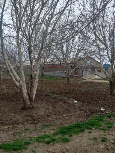 عکس مرغداری گوشتی محمدی