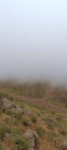 عکس دشت لار