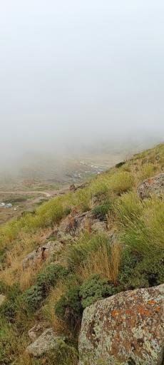 عکس دشت لار