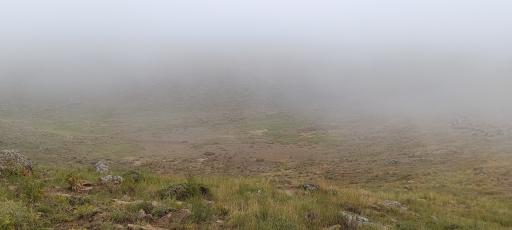 عکس دشت لار