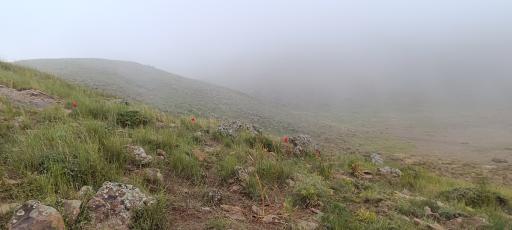 عکس دشت لار