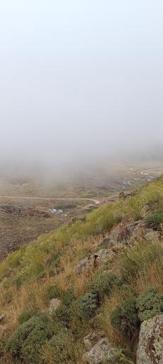 عکس دشت لار