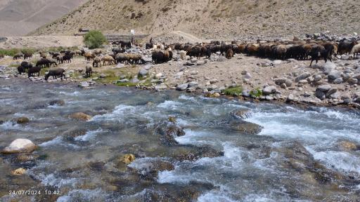 عکس دشت لار