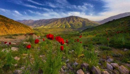 عکس دشت لار