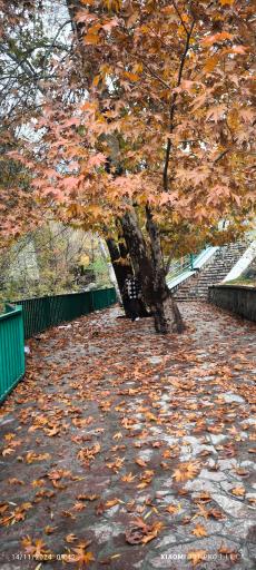 عکس بوستان تندرستی