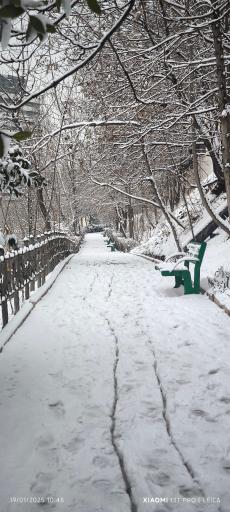 عکس بوستان تندرستی