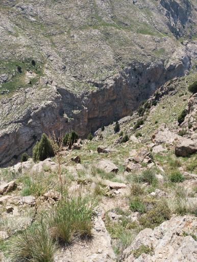 عکس دشت لار