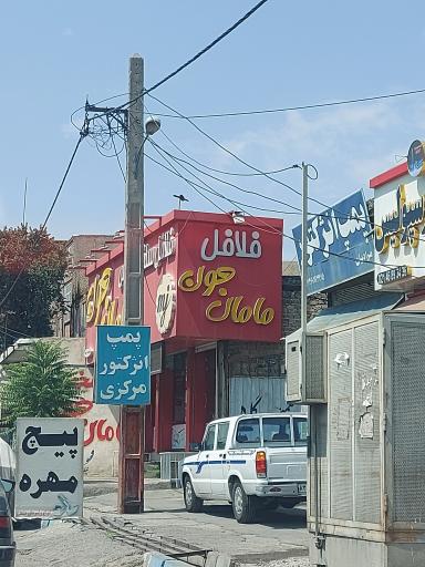 عکس سلف سرویس مامان جون شعبه هفت جوی