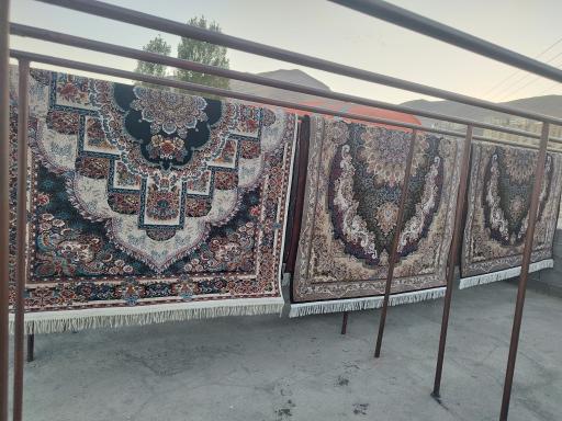 عکس قالیشویی گولان 