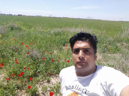 عکس چکودر