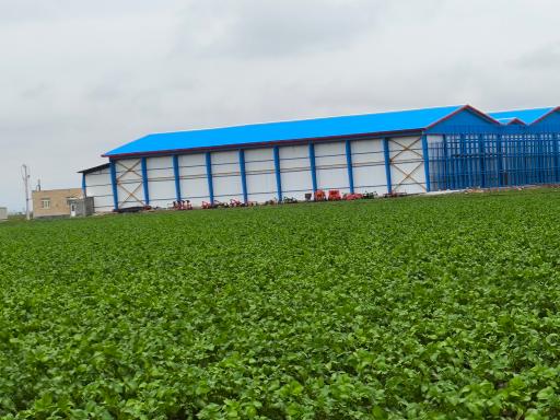 عکس سردخانه میوه امیران نیار