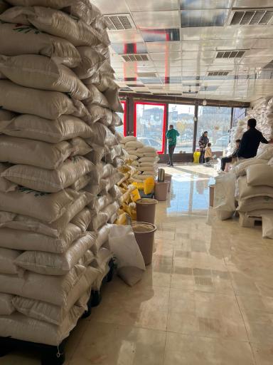 شهر برنج قائم