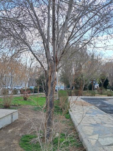 عکس بوستان شهید حسن شیخ بهایی