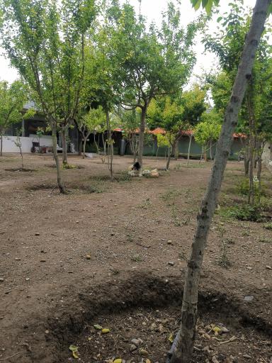 عکس پارک عزیز منصور